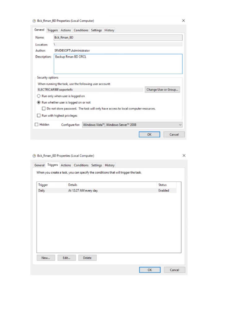 Rman Job in Windows PDF