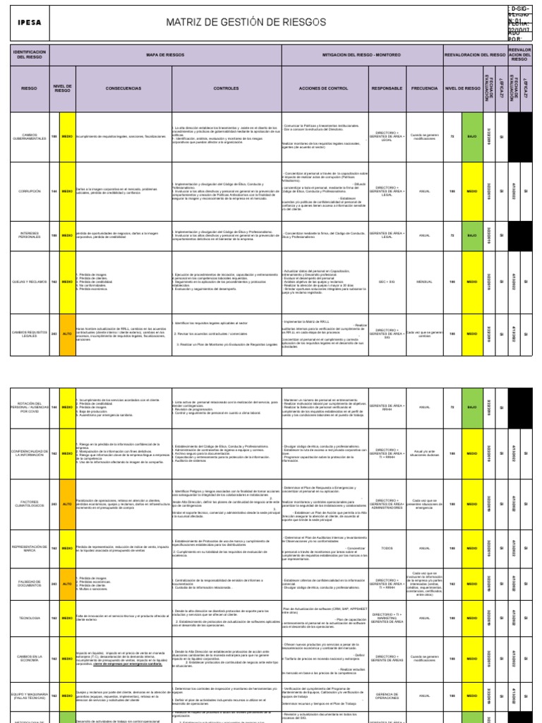 Matriz de Riesgo en Auditoría IPESA | PDF | Auditoría | Presupuesto