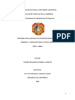 Informe General de Practicas Profesionales