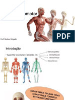 Aula - 8º Ano - Sistema Locomotor