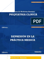 SEM2 Depresión - Dr. Pizarro Cientifica 2023-1