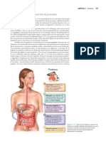 Perspectivas de La Nutricion PROTEINAS