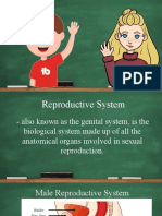 Lesson 101 Reproductive System