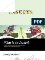 Science - Insects