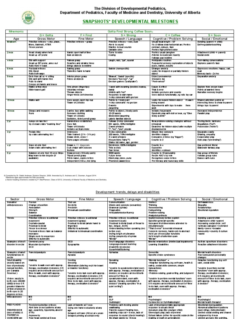 Developmental Milestones Overview | PDF | Attachment Theory | Mental ...