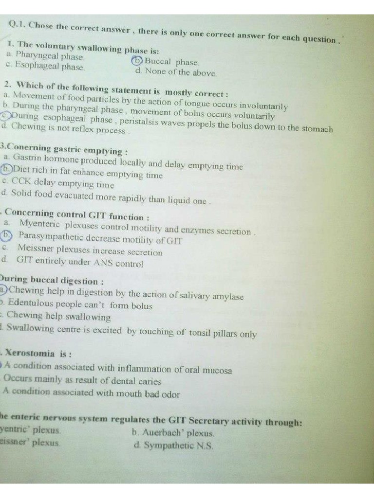 MCQ Dental Anatomy PDF