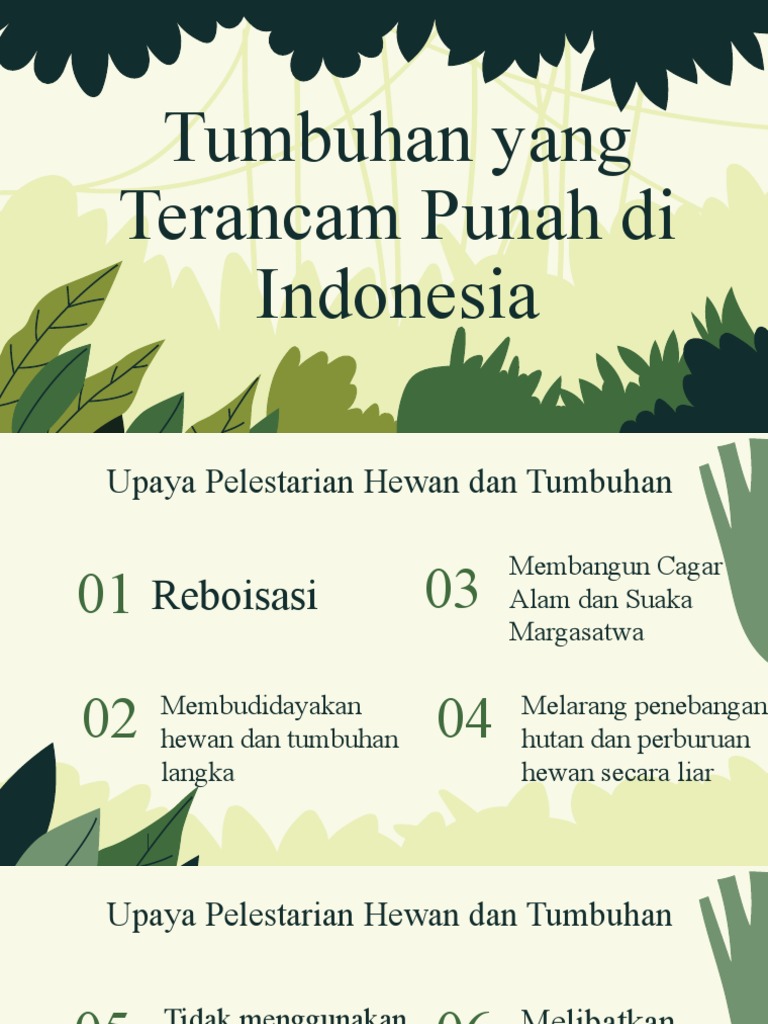 Tumbuhan Yang Terancam Punah Di Indonesia | PDF