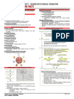 (MICRO B) Ascending Pathway (MATHEUS 2019)