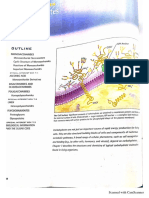 Biochemistry Chapter 7 Carbohydrates