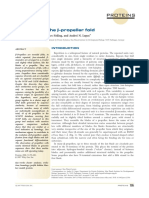 Proteins: Evolution of The B-Propeller Fold