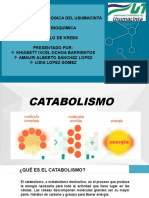 Ciclo de Krebs Bioquimica