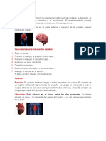 Prueba de Ciencia Rganos