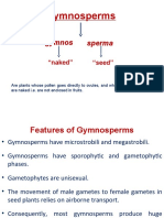 14. Gymnosperms (1)
