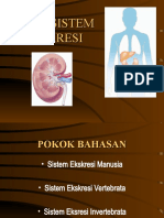 Bab 8 Sistem Ekskresi