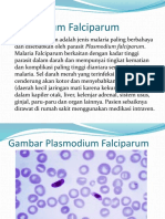 3 Plasmodium