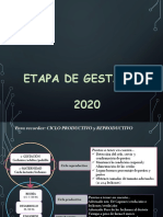 2021 Manejo de La Gestación