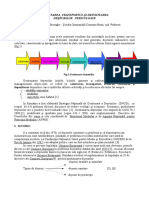 Colectarea Transportul Si Depozitarea Deseurilor Periculoase