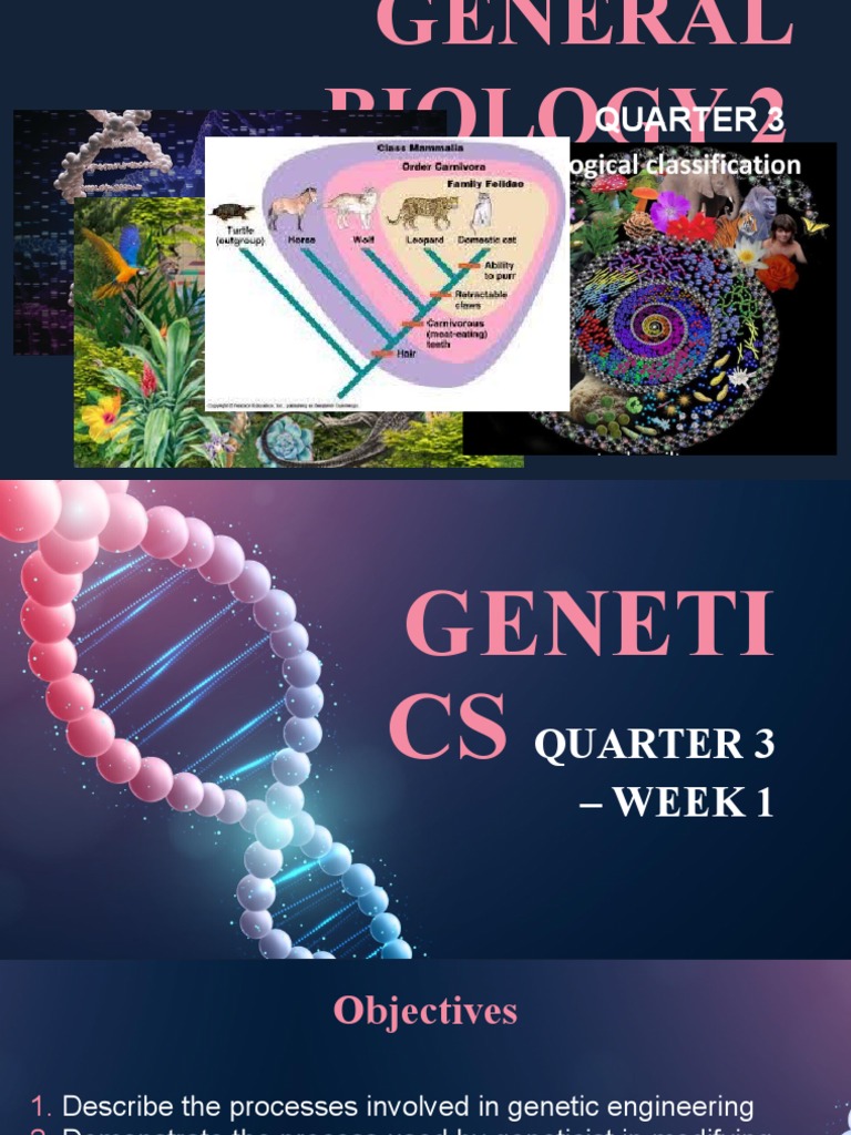 Genetics | PDF