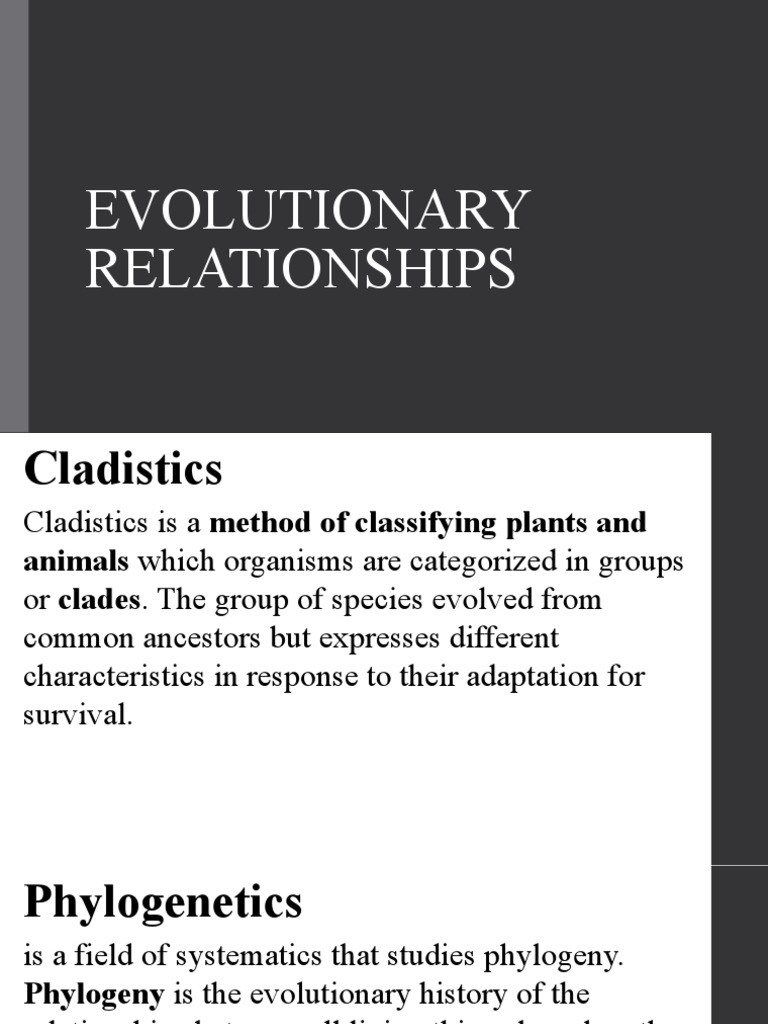 Evolutionary Relationships | PDF | Phylogenetic Tree | Clade