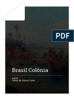 Brasil Pre Colonial