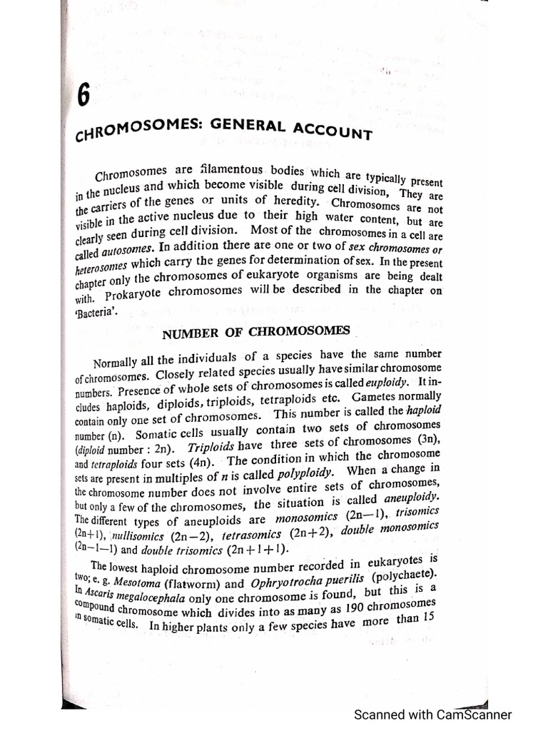 Chromosomes | PDF