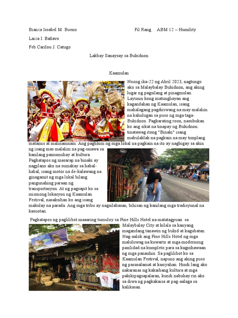 Example Of Pictorial Essay About Family
