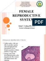 Q4 Week 2 Female Reproductive Stem 11
