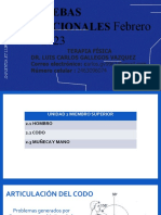 Unidad 2 Exploración y Pruebas Funcionales de Miembro Superior - Codo