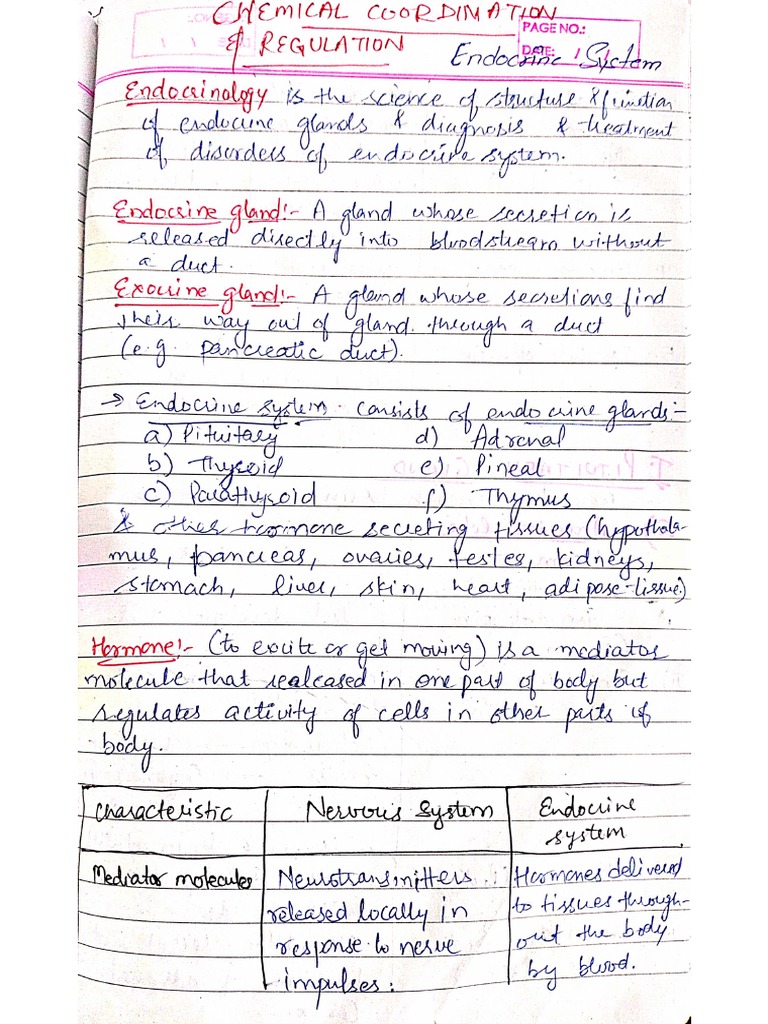 WHAT IS ENDOCRINE SYSTEM PDF visual data 2