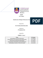 PI080S30 - Group 2 - Identification of Biological Molecules in Food