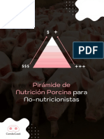 Pirámide de Nutrción Porcina CerdoCast