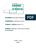 Informe Práctico - Gonzales