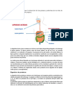 Informe de Tarea Teorica