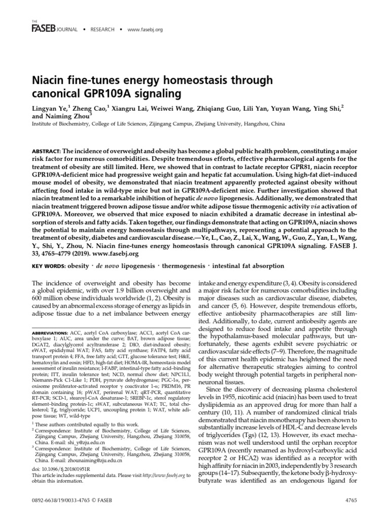 B3 Niacin Energy Mitochondria PDF Adipose Tissue Real Time Polymerase Chain Reaction