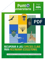 Punto Universitario 464