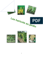 Les Haricots-5