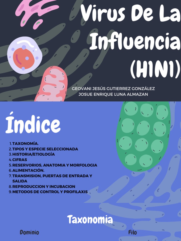 Virus H1N1: Características y Control | PDF | Virus de la Influenza A ...