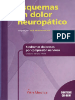 Esquema en Dolor Neuropatico