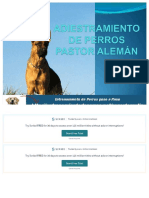 Adiestramiento de Perros Pastor Aleman