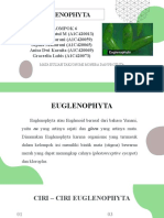 R003 - Kelompok 6 - PPT Euglenophyta