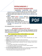 Individual Assignment Advanced Strategic Management