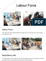 The Labour Force