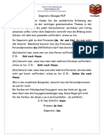 imperativ-uebungen-pdf