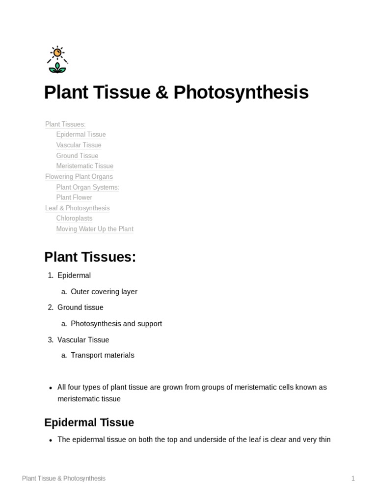 Plants NOTES PDF Leaf Tissue (Biology)