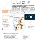 ST - CT 2 - Religión - 6° Prim