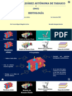 Tarea 1. Membrana Celular