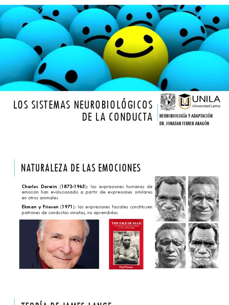 Neurobiología de las Emociones y Conducta | PDF | Las emociones | Amígdala