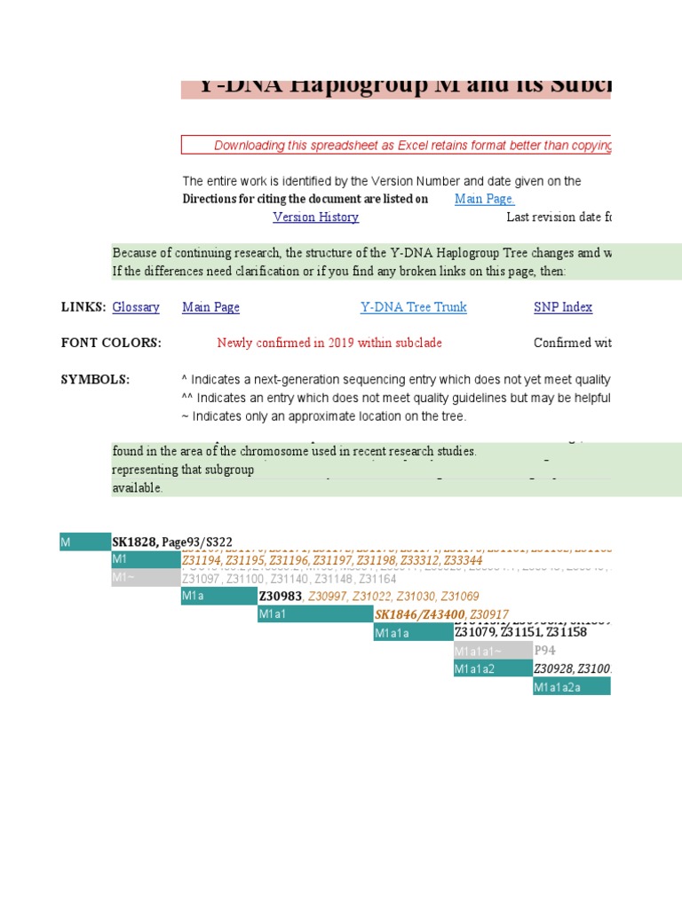 2019 Haplogroup M PDF Mitochondrial Dna Genealogy