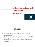 Regulation GLYCOGEN