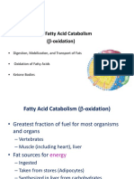 Fatty Acid Oxidation